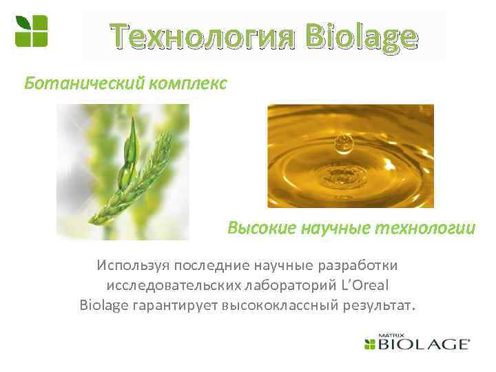 Технология Biolage Ботанический комплекс Высокие научные технологии Используя последние научные разработки исследовательских лабораторий L’Oreal