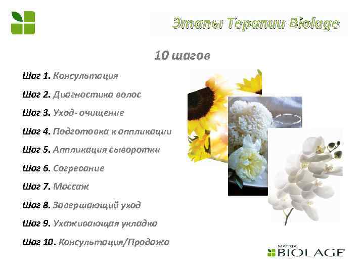 Этапы Терапии Biolage 10 шагов Шаг 1. Консультация Шаг 2. Диагностика волос Шаг 3.