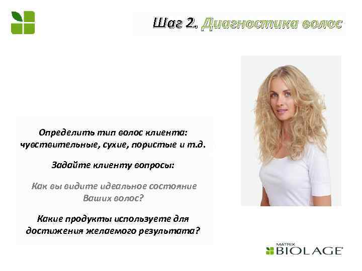 Шаг 2. Диагностика волос Определить тип волос клиента: чувствительные, сухие, пористые и т. д.