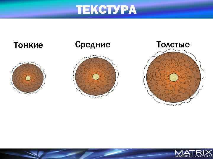 ТЕКСТУРА Тонкие Средние Толстые 