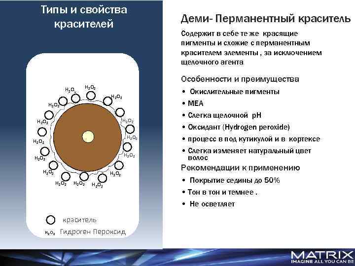 Типы и свойства красителей Деми- Перманентный краситель Содержит в себе те же красящие пигменты
