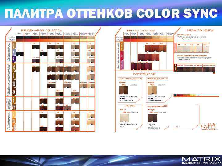 ПАЛИТРА ОТТЕНКОВ COLOR SYNC 