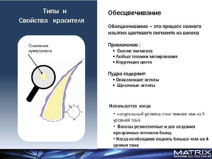 Tипы и Свойства красителя Снижение эумеланина Обесцвечивание – это процесс полного изъятия цветового пигмента