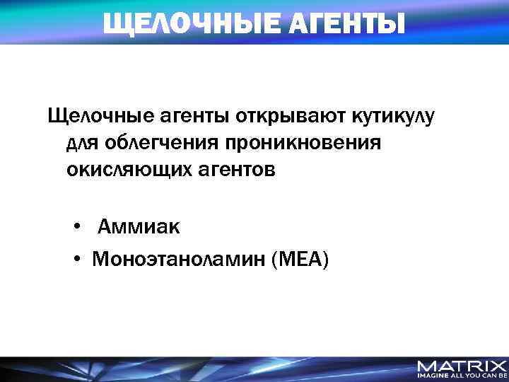 ЩЕЛОЧНЫЕ АГЕНТЫ Щелочные агенты открывают кутикулу для облегчения проникновения окисляющих агентов • Аммиак •