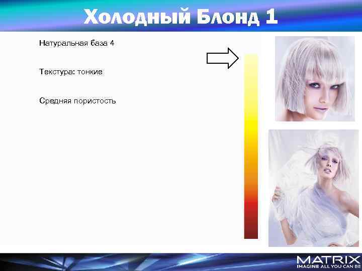 Холодный Блонд 1 Натуральная база 4 Текстура: тонкие Средняя пористость 