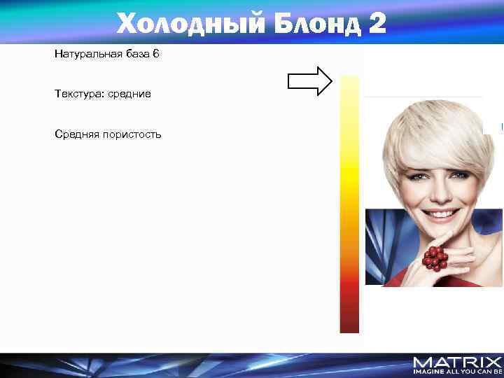 Холодный Блонд 2 Натуральная база 6 Текстура: средние Средняя пористость 