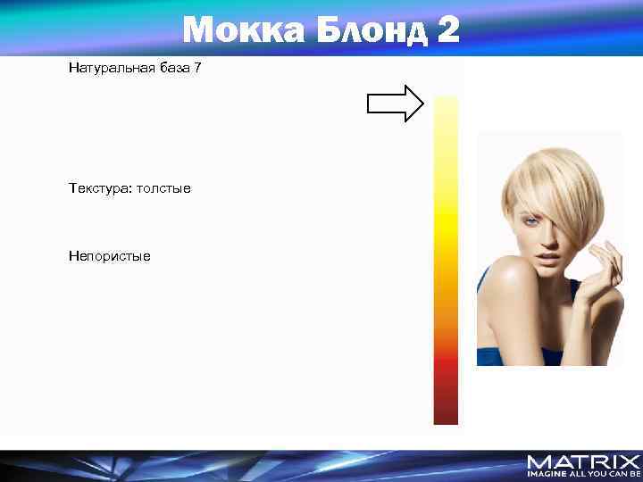 Мокка Блонд 2 Натуральная база 7 Текстура: толстые Непористые 