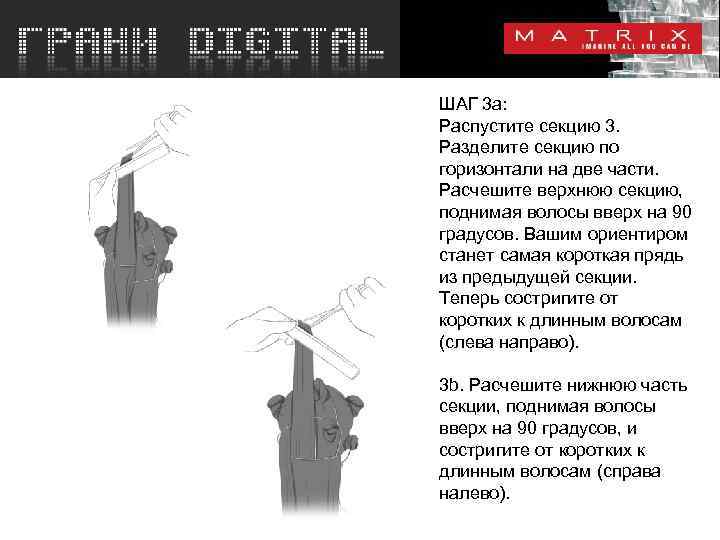 ШАГ 3 a: Распустите секцию 3. Разделите секцию по горизонтали на две части. Расчешите