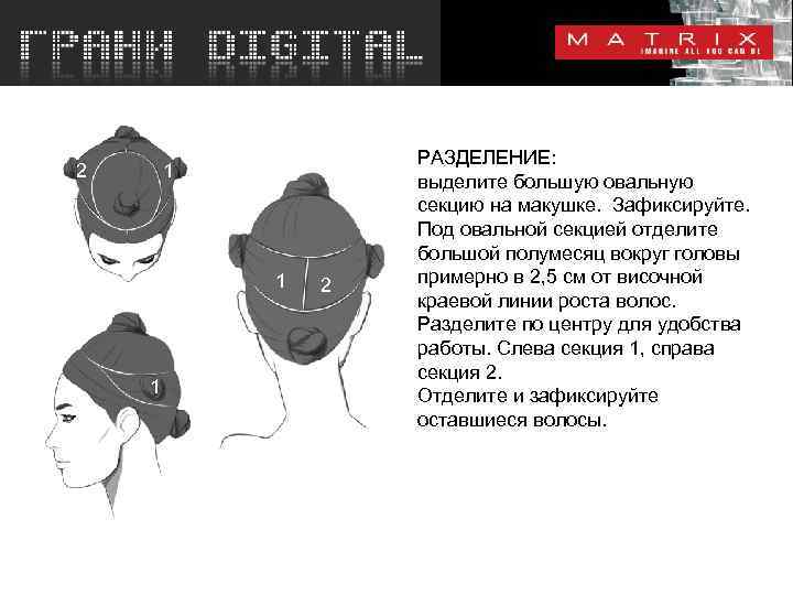 2 1 1 1 2 РАЗДЕЛЕНИЕ: выделите большую овальную секцию на макушке. Зафиксируйте. Под