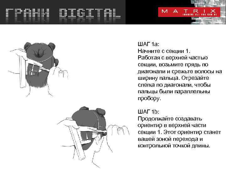 ШАГ 1 a: Начните с секции 1. Работая с верхней частью секции, возьмите прядь