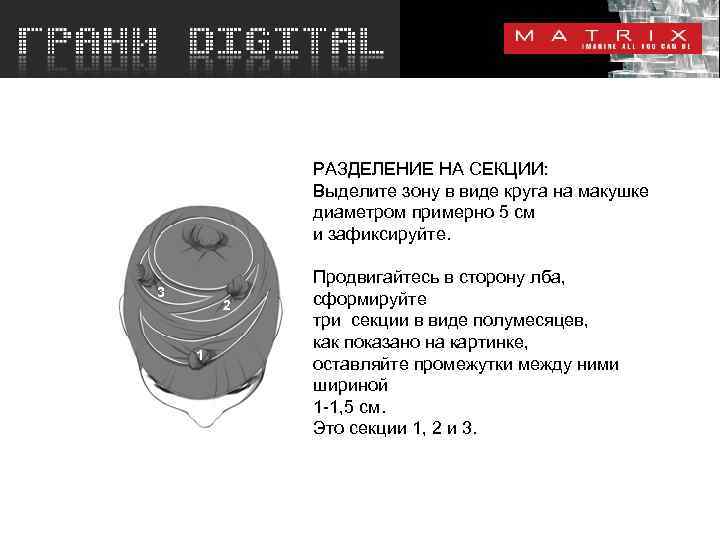 РАЗДЕЛЕНИЕ НА СЕКЦИИ: Выделите зону в виде круга на макушке диаметром примерно 5 см