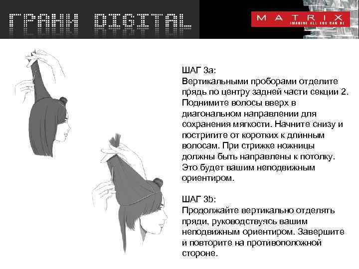ШАГ 3 a: Вертикальными проборами отделите прядь по центру задней части секции 2. Поднимите