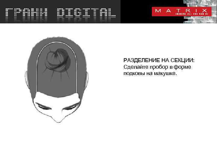 РАЗДЕЛЕНИЕ НА СЕКЦИИ: Сделайте пробор в форме подковы на макушке. 