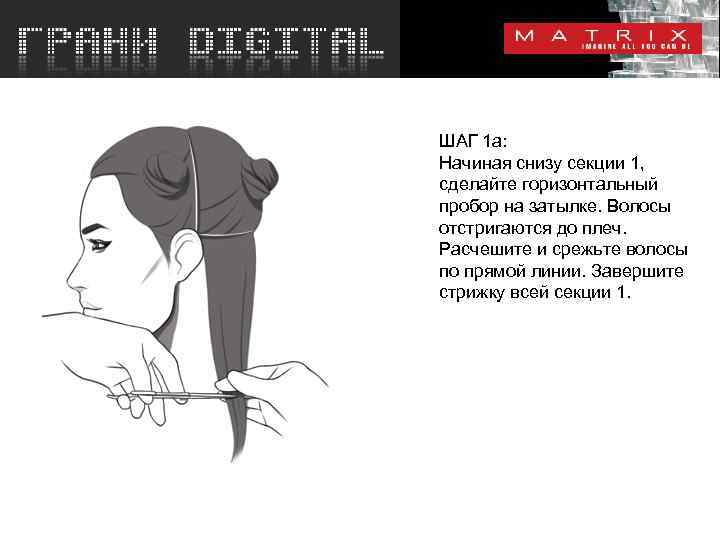 ШАГ 1 a: Начиная снизу секции 1, сделайте горизонтальный пробор на затылке. Волосы отстригаются