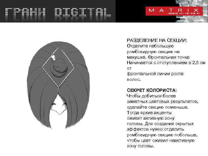 РАЗДЕЛЕНИЕ НА СЕКЦИИ: Отделите небольшую ромбовидную секцию на макушке. Фронтальная точка Начинается с отступлением