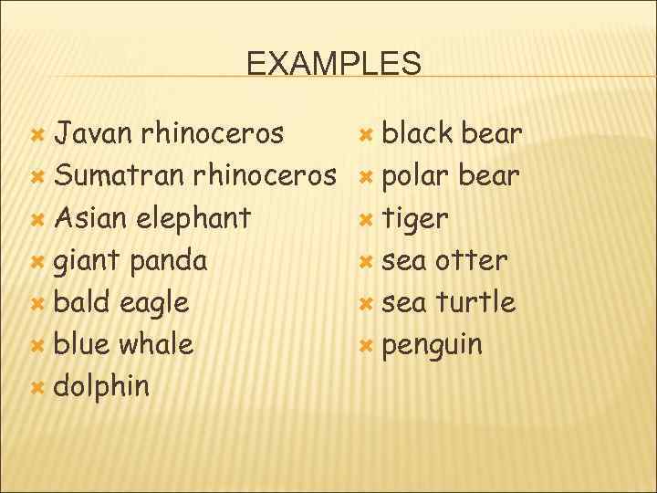 EXAMPLES Javan rhinoceros Sumatran rhinoceros Asian elephant giant panda bald eagle blue whale dolphin