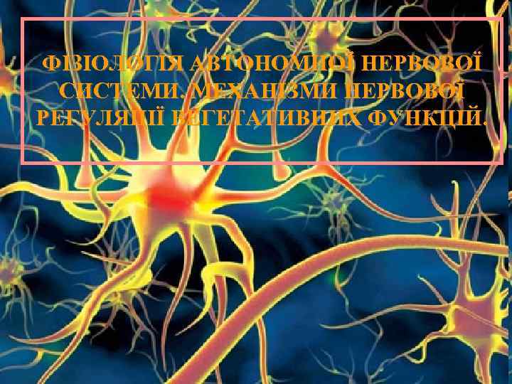 ФІЗІОЛОГІЯ АВТОНОМНОЇ НЕРВОВОЇ СИСТЕМИ. МЕХАНІЗМИ НЕРВОВОЇ РЕГУЛЯЦІЇ ВЕГЕТАТИВНИХ ФУНКЦІЙ. 