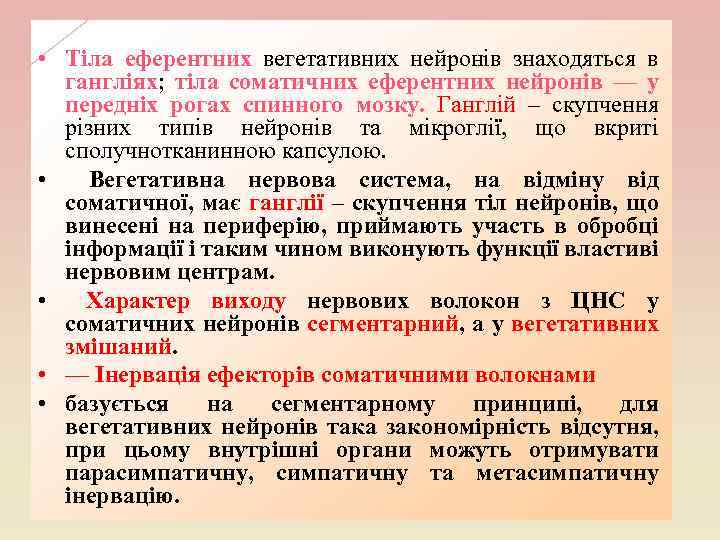  • Тіла еферентних вегетативних нейронів знаходяться в гангліях; тіла соматичних еферентних нейронів —