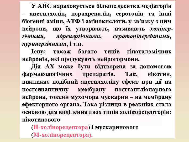 У АНС нараховується більше десятка медіаторів – ацетилхолін, норадреналін, серотонін та інші біогенні аміни,
