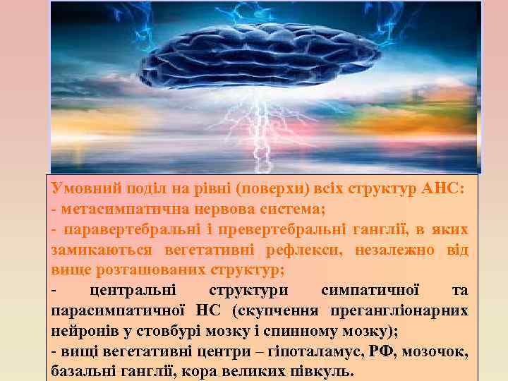 Умовний поділ на рівні (поверхи) всіх структур АНС: - метасимпатична нервова система; паравертебральні і