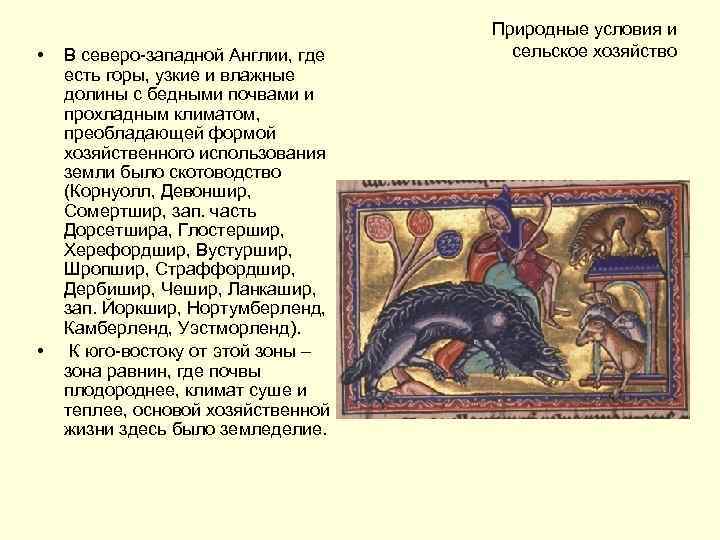  • • В северо-западной Англии, где есть горы, узкие и влажные долины с