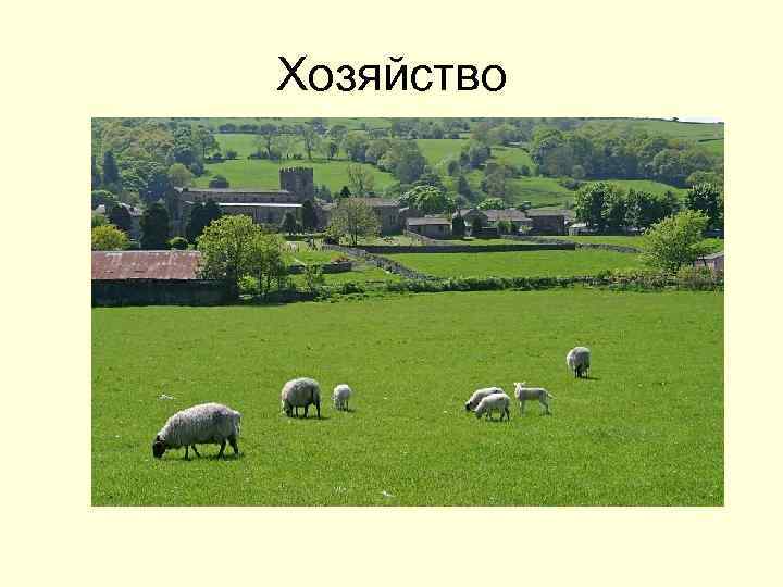 Хозяйство 