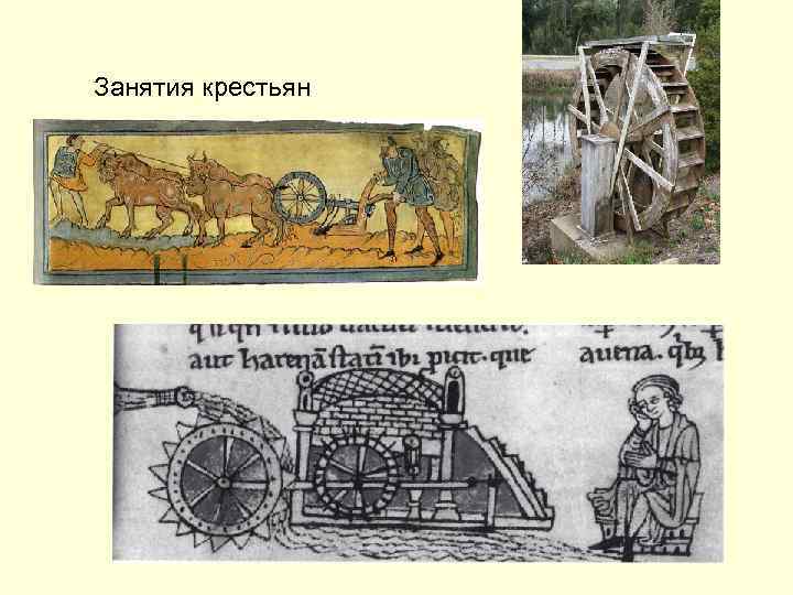 Занятия крестьян 