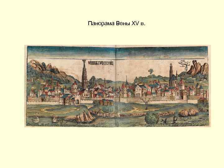 Панорама Вены XV в. 