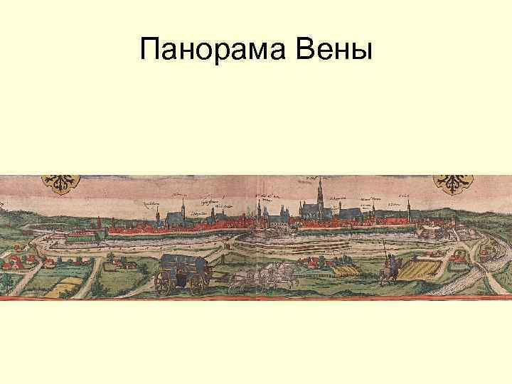 Панорама Вены 