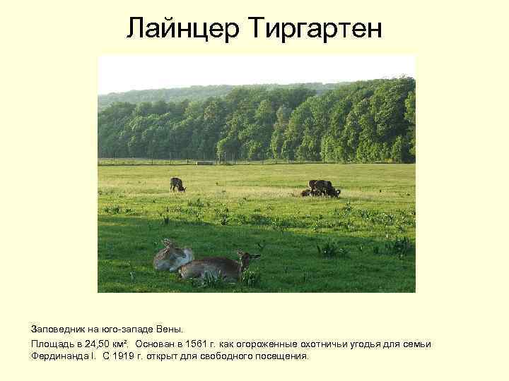 Лайнцер Тиргартен заповедник на юго-западе Вены. Площадь в 24, 50 км². Основан в 1561