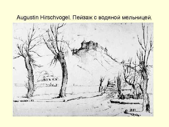 Augustin Hirschvogel. Пейзаж с водяной мельницей. 