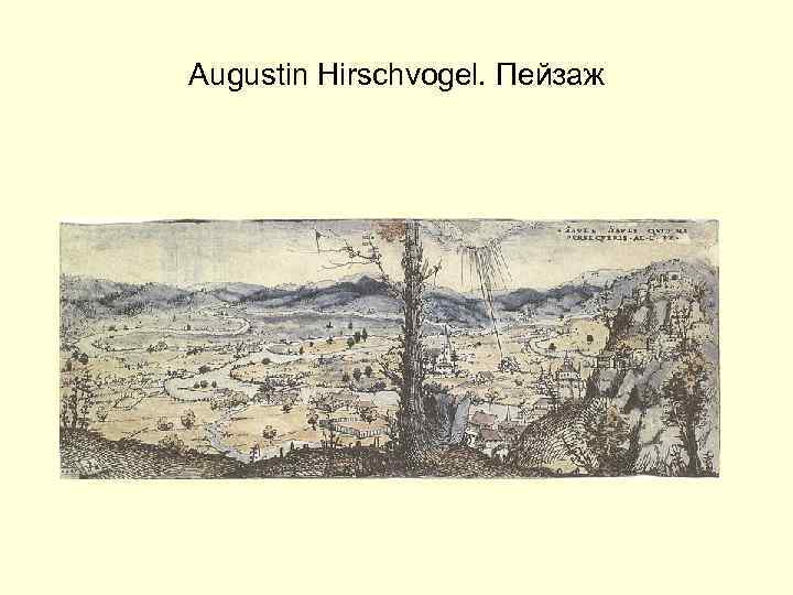 Augustin Hirschvogel. Пейзаж 