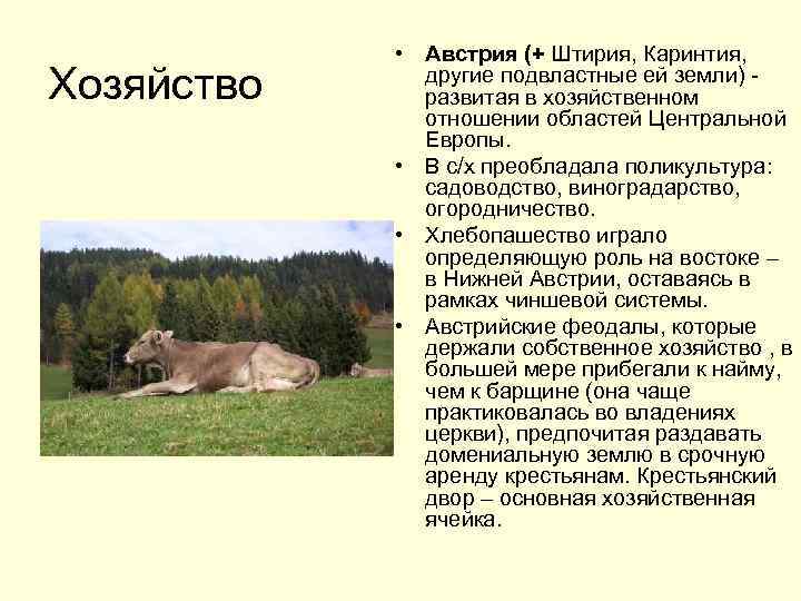 Хозяйство • Австрия (+ Штирия, Каринтия, другие подвластные ей земли) - развитая в хозяйственном