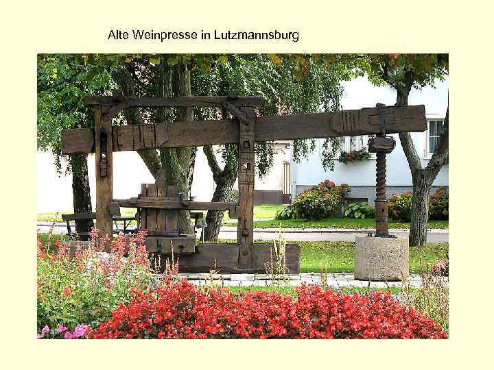 Alte Weinpresse in Lutzmannsburg 