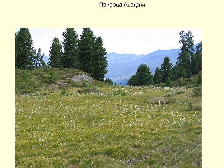 Природа Австрии 