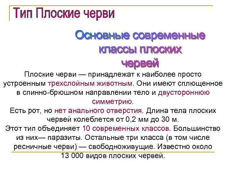Плоские черви — принадлежат к наиболее просто устроенным трехслойным животным. Они имеют сплющенное в