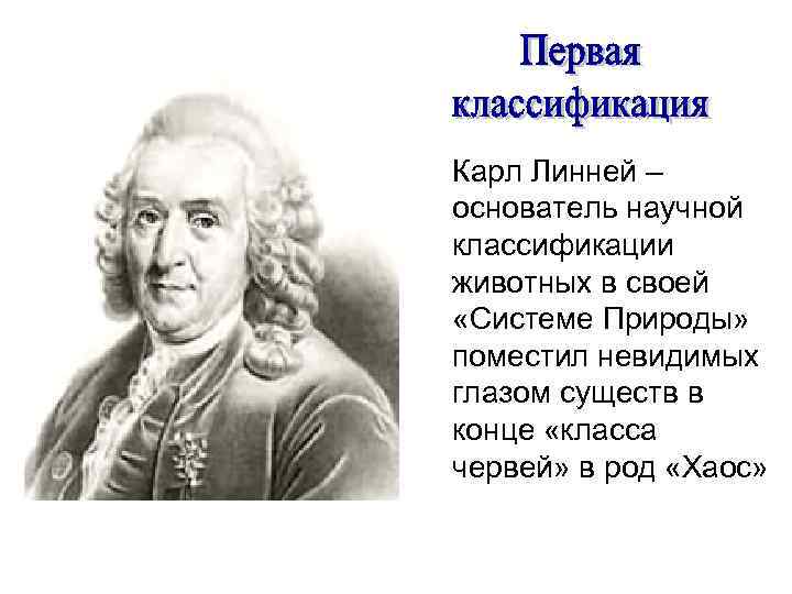  Карл Линней – основатель научной классификации животных в своей «Системе Природы» поместил невидимых