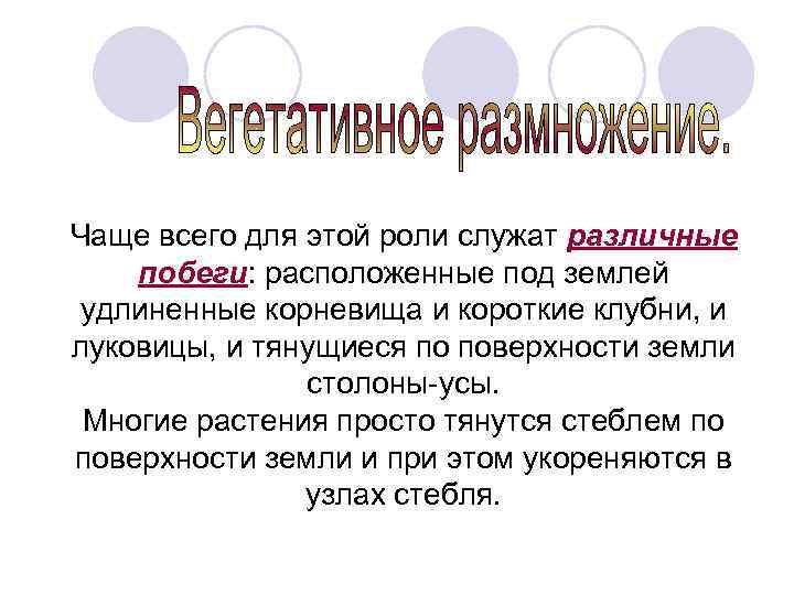 Чаще всего для этой роли служат различные побеги: расположенные под землей удлиненные корневища и