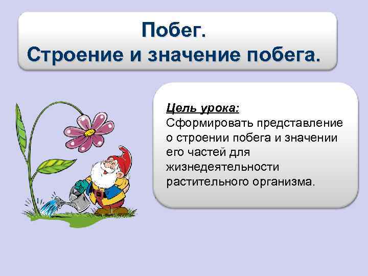 Какова цель побега. Строение и значение побега. Побег значение побега. Побег его значение. Значение побега в природе.