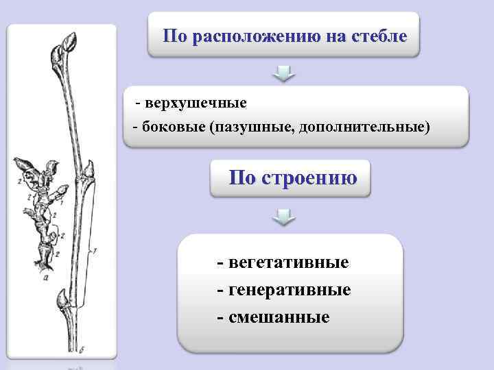 Какова цель побега