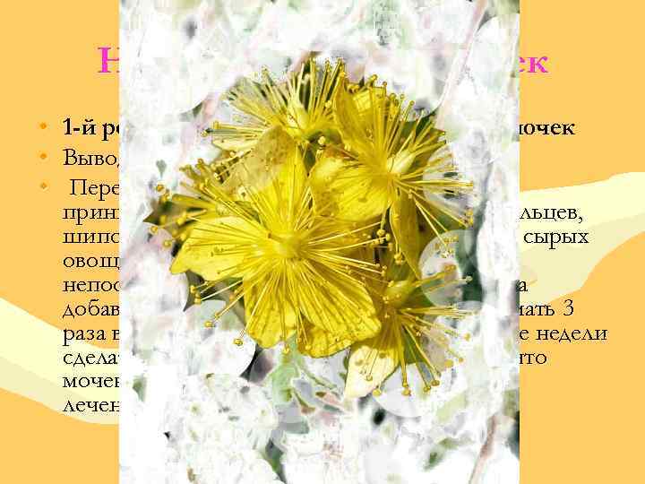 Народные лечения почек • • • 1 -й рецепт народного средства лечения почек Выводим
