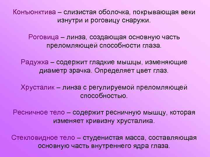 Конъюнктива – слизистая оболочка, покрывающая веки изнутри и роговицу снаружи. Роговица – линза, создающая