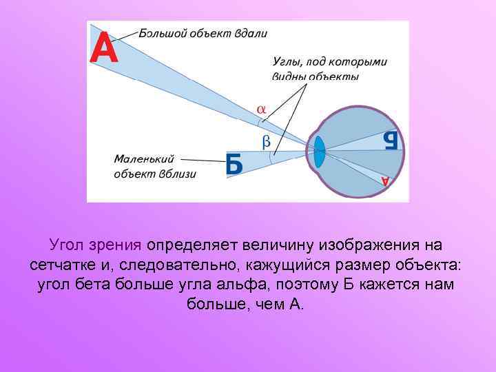 Угол зрения oпределяет величину изображения на сетчатке и, следовательно, кажущийся размер объекта: угол бета