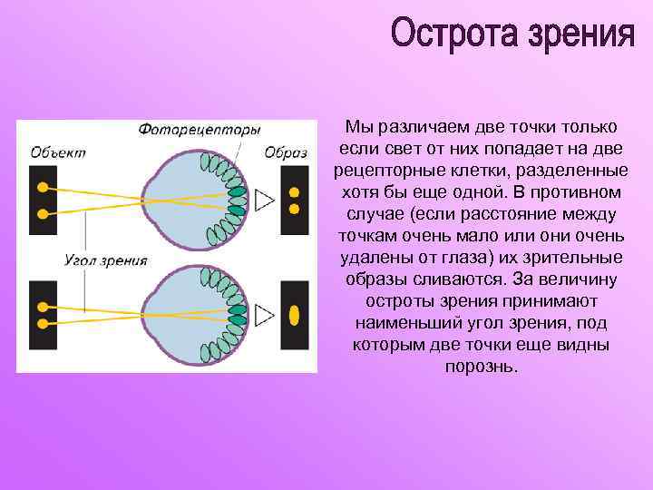 Точка зрения время работы