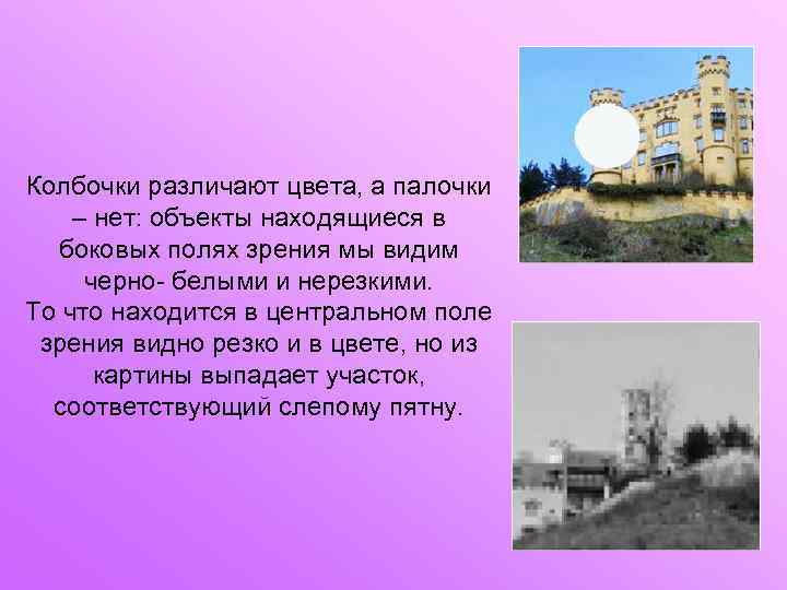 Колбочки различают цвета, а палочки – нет: объекты находящиеся в боковых полях зрения мы