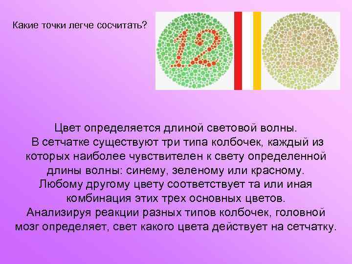 Какие точки легче сосчитать? Цвет определяется длиной световой волны. В сетчатке существуют три типа