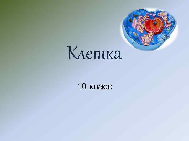 Клетка 10 класс 