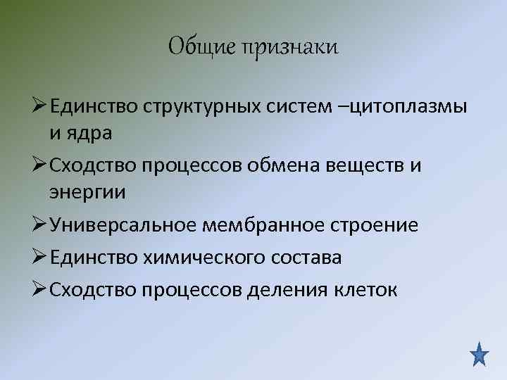 Общие признаки Ø Единство структурных систем –цитоплазмы и ядра Ø Сходство процессов обмена веществ