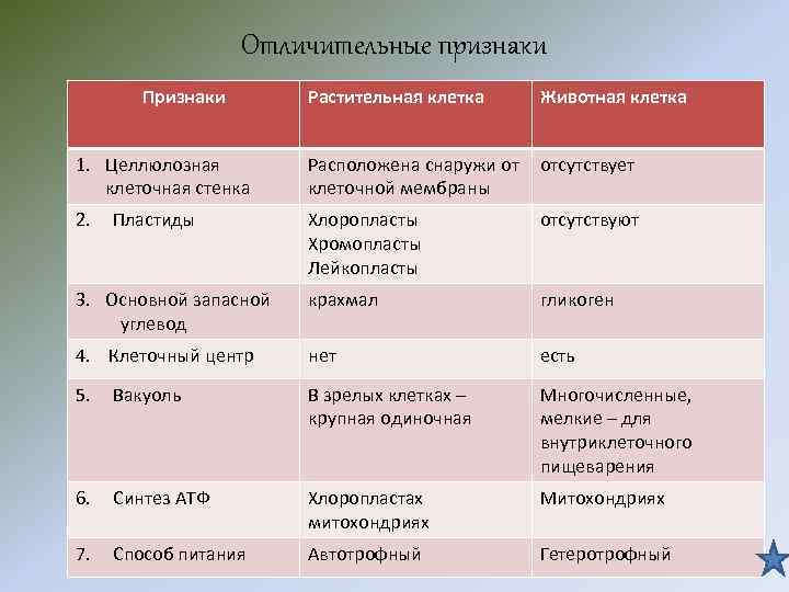 Отличительные признаки Признаки Растительная клетка Животная клетка 1. Целлюлозная клеточная стенка Расположена снаружи от