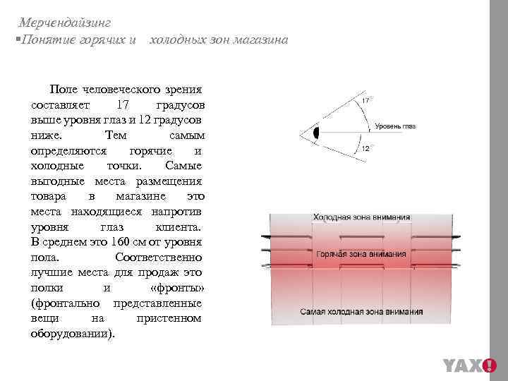 Мерчендайзинг §Понятие горячих и холодных зон магазина Поле человеческого зрения составляет 17 градусов выше